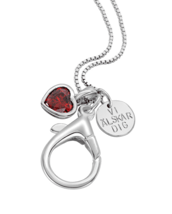 ringhake ringhållare